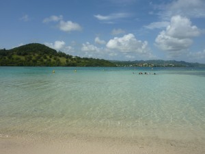 KAIDOZ fond blanc plage et morne(53)